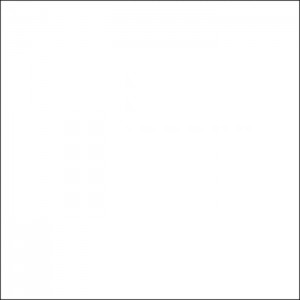 Gạch lát sàn Trường Thịnh BLACK & WHITE FASHION SLA610